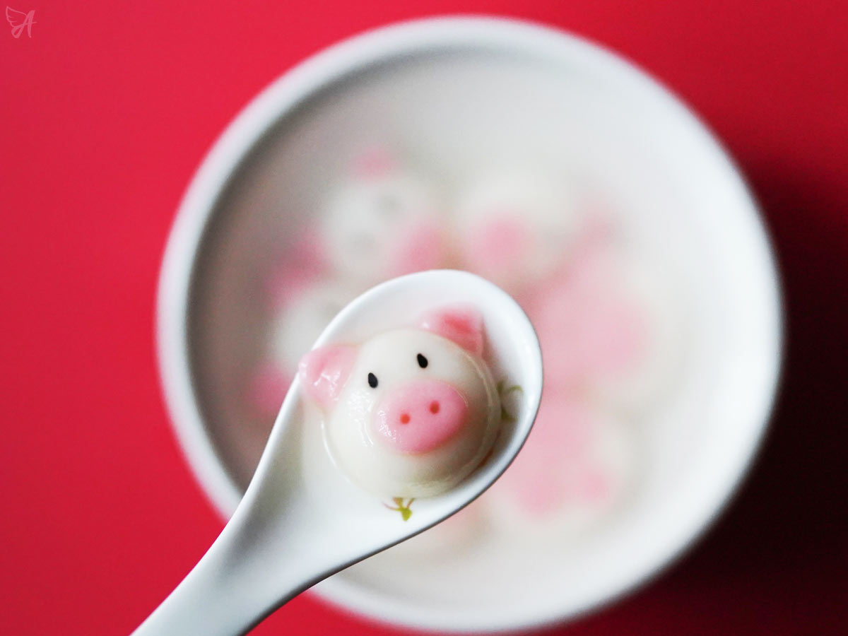 What is porcine collagen
