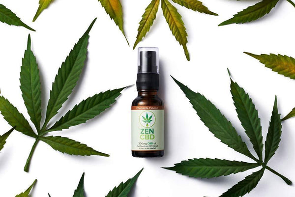 Zen Full Spectrum Chocolate CBD Spray – for the Ageless