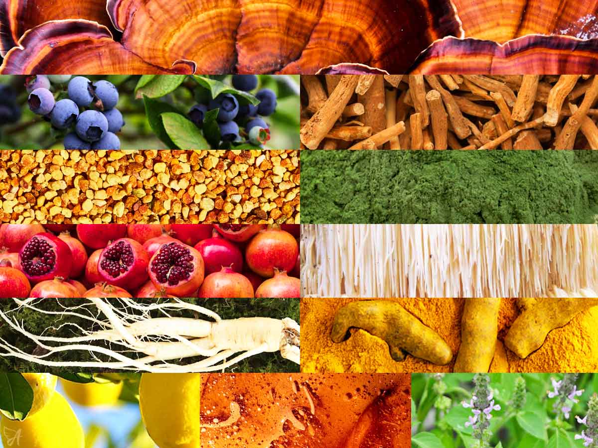 15 superfoods to support a healthy lifestyle - banner