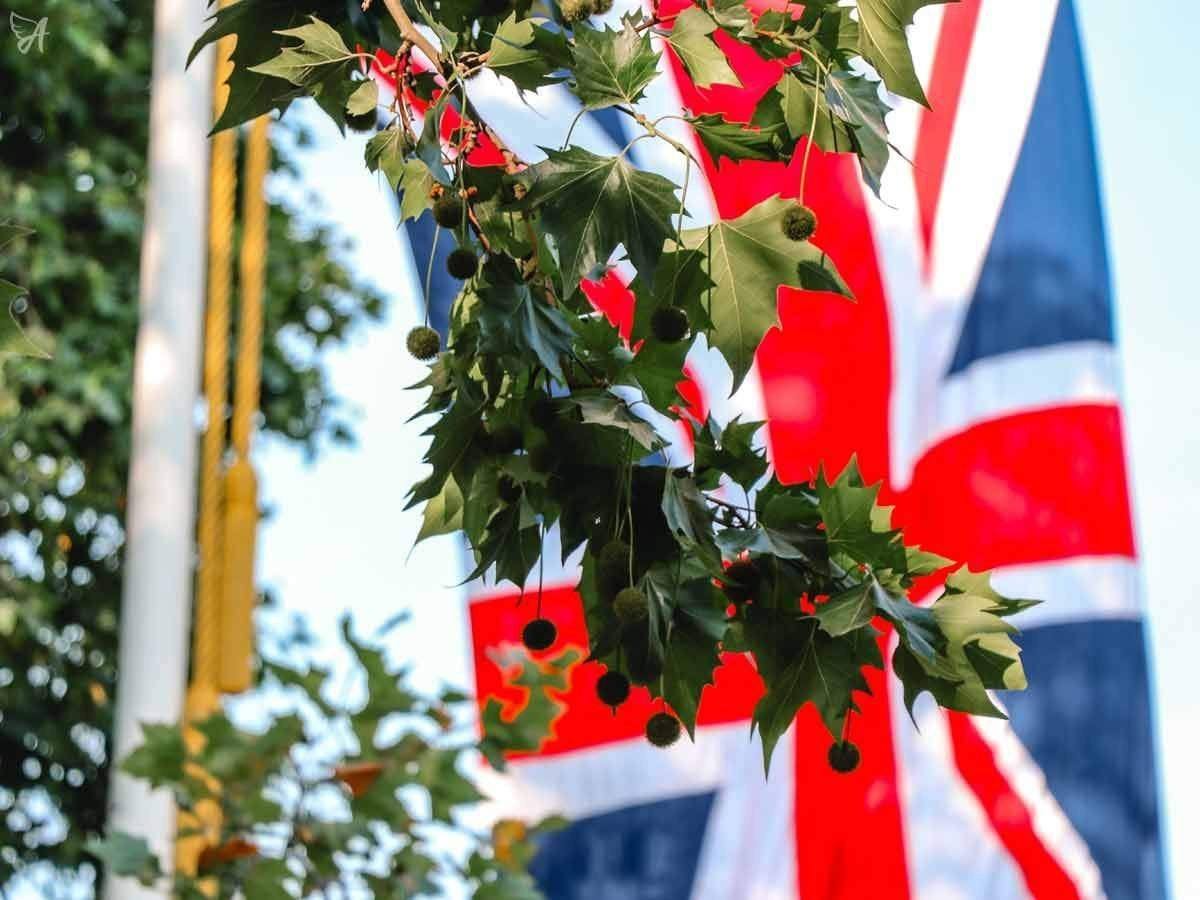 Is CBD Oil Legal in the UK?-for the Ageless