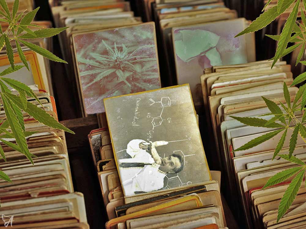 A Short History of CBD