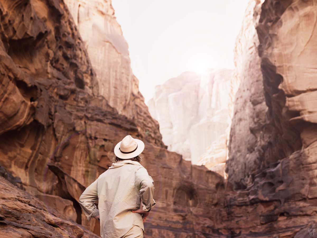 Ashwagandha for the menopause