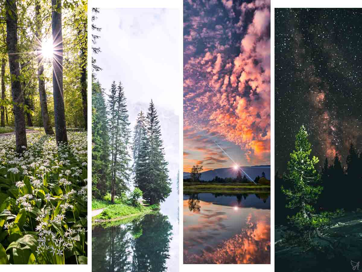 Best time to take CBD