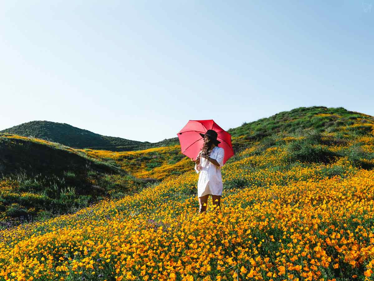 Best vitamins and supplements for immunity