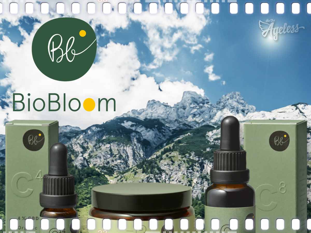 BioBloom: the whole story