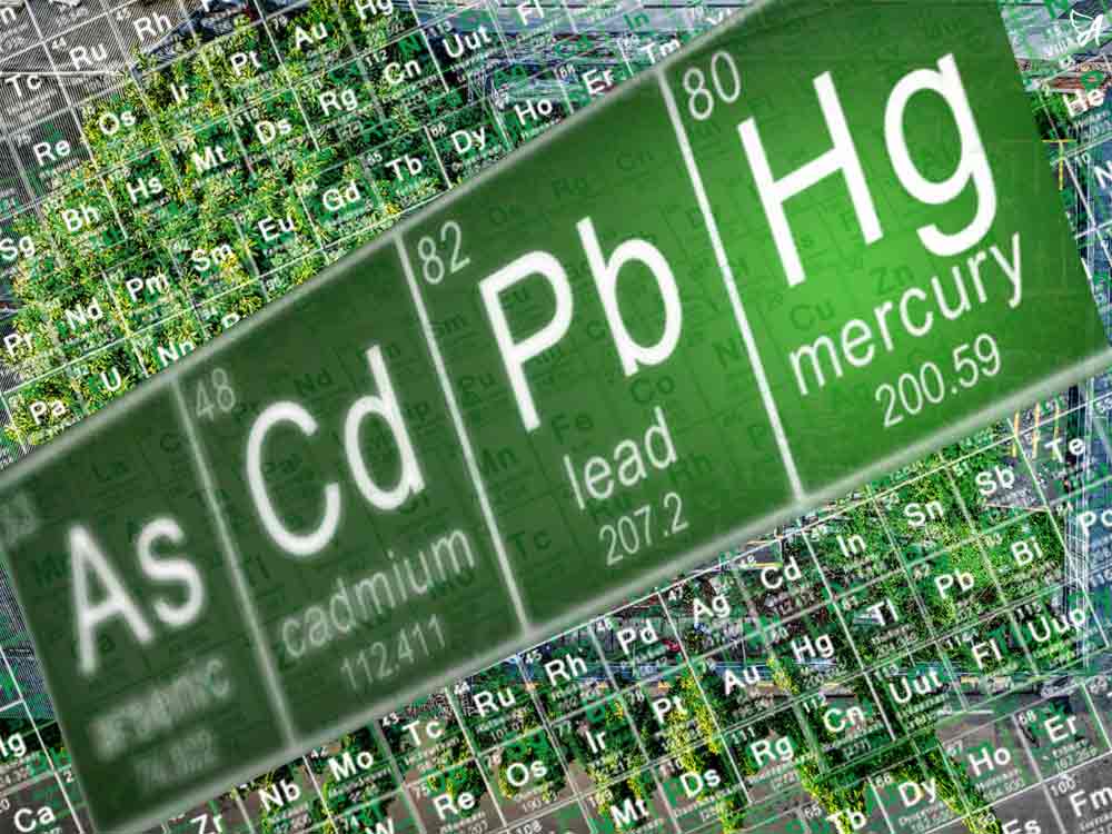 CBD and heavy metals