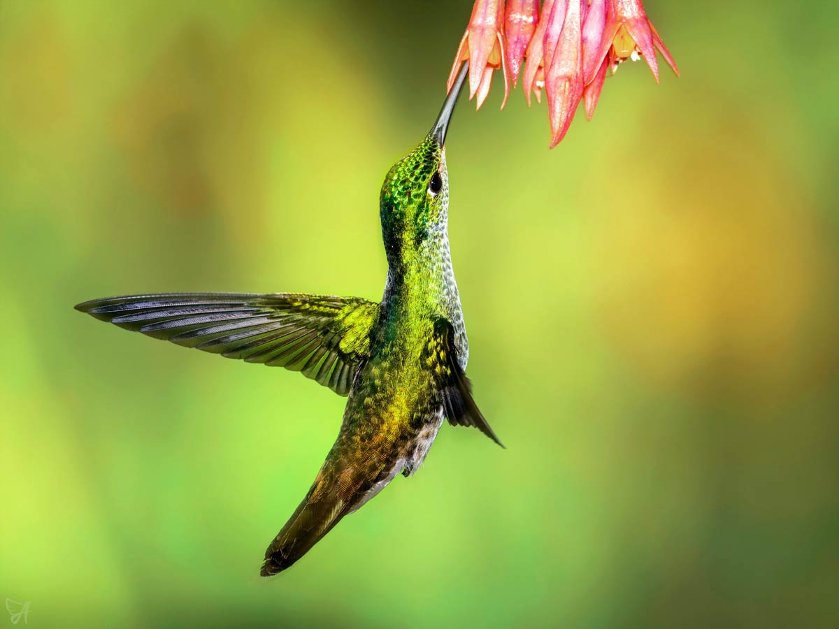 CBD withdrawal, does it exist?