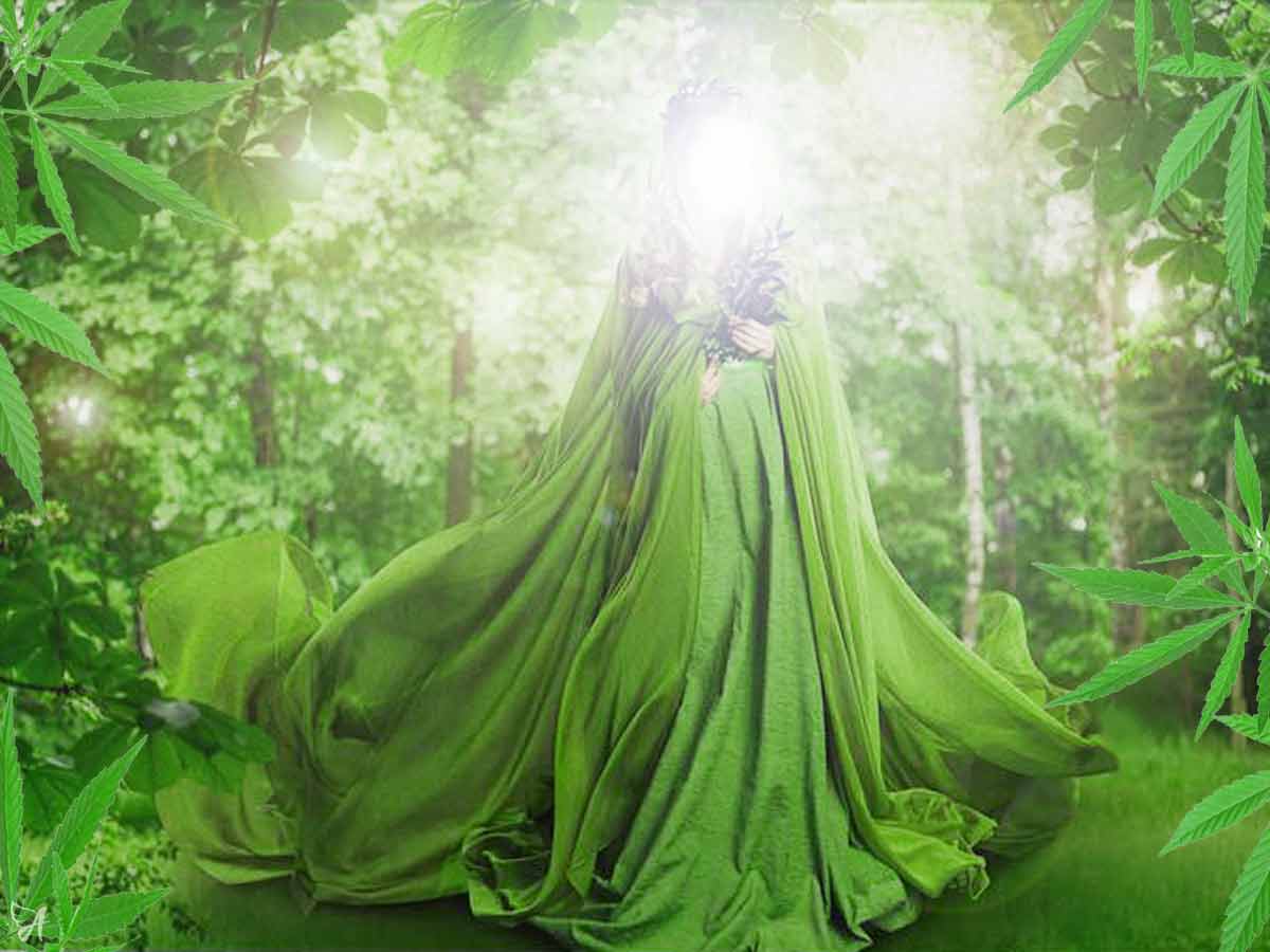 CBG - The mother of all cannabinoids