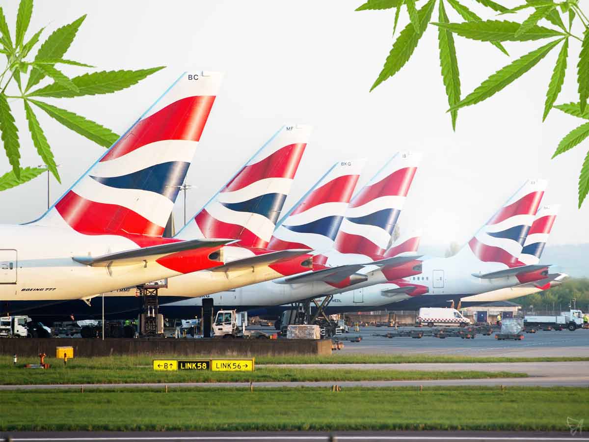Can you take CBD on a plane