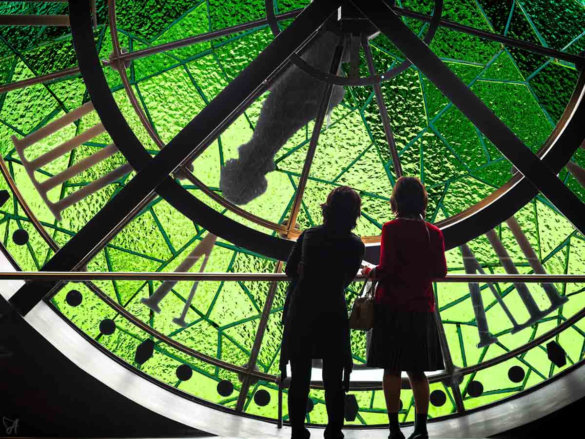 How long does CBD oil take to work