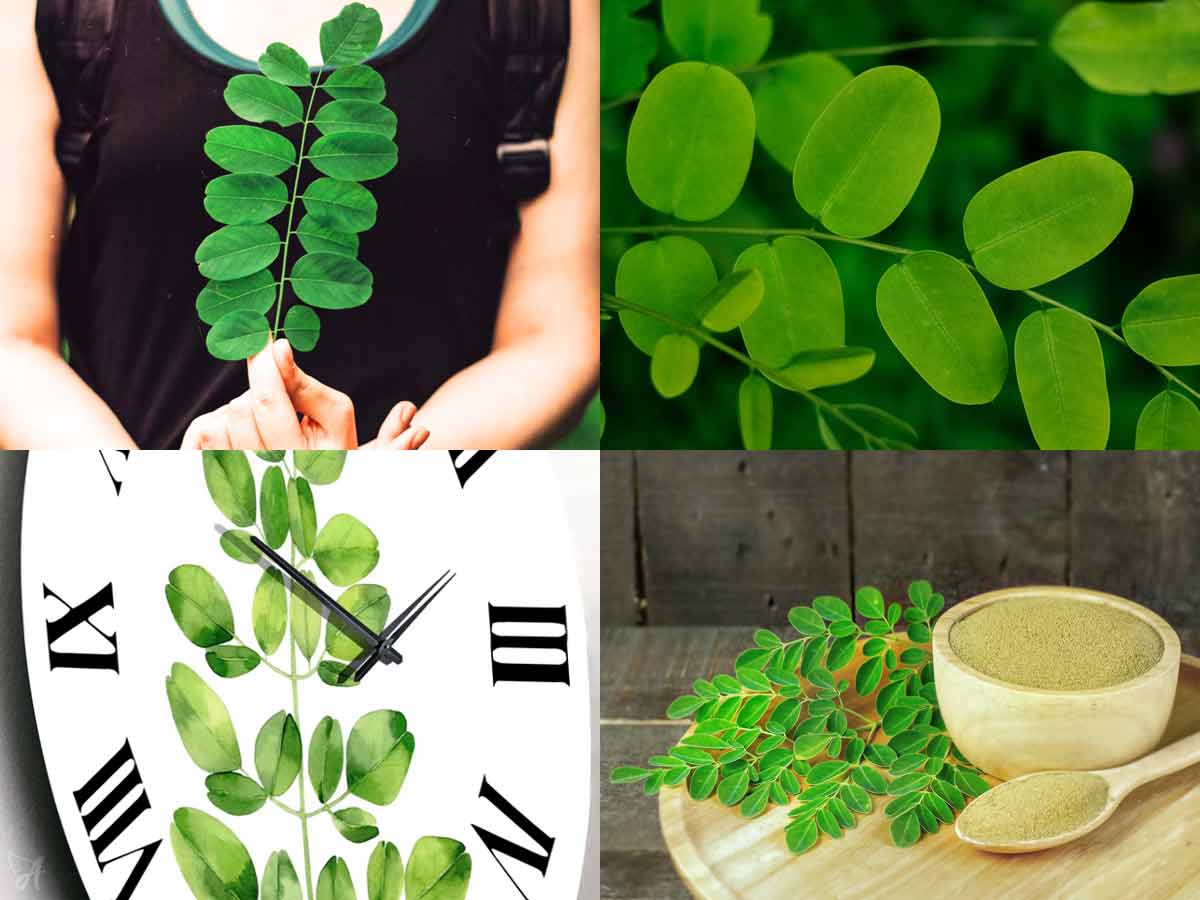 How long does it take for moringa to start working?