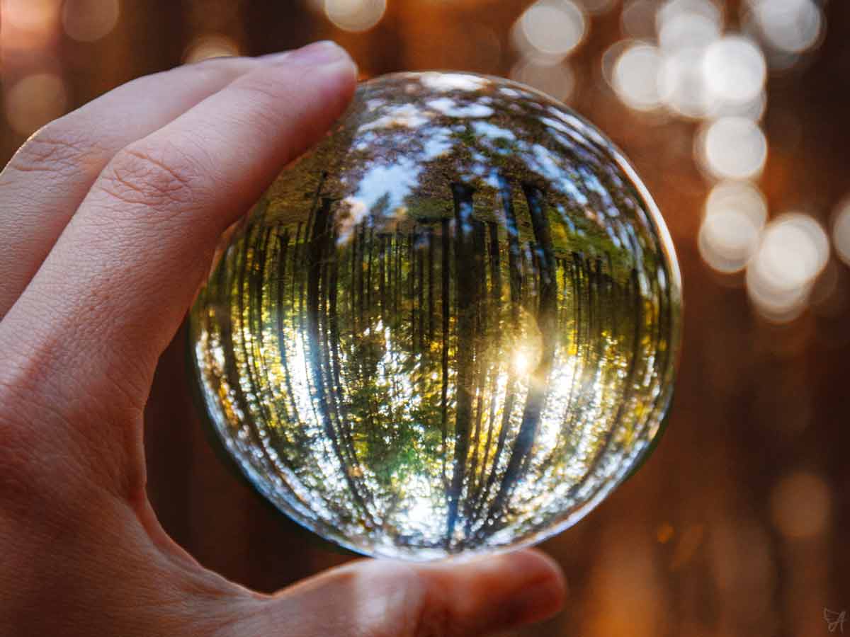 How to take bioregulators