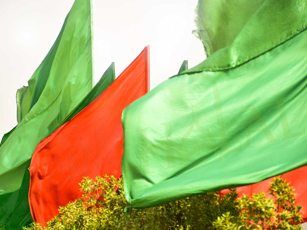 Is CBD Halal or Haram?