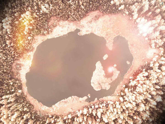 Practical detox guide: The liver