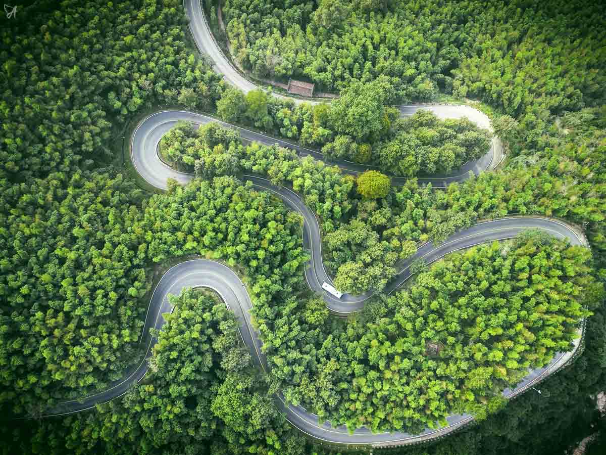 Pros and cons of CBD oil