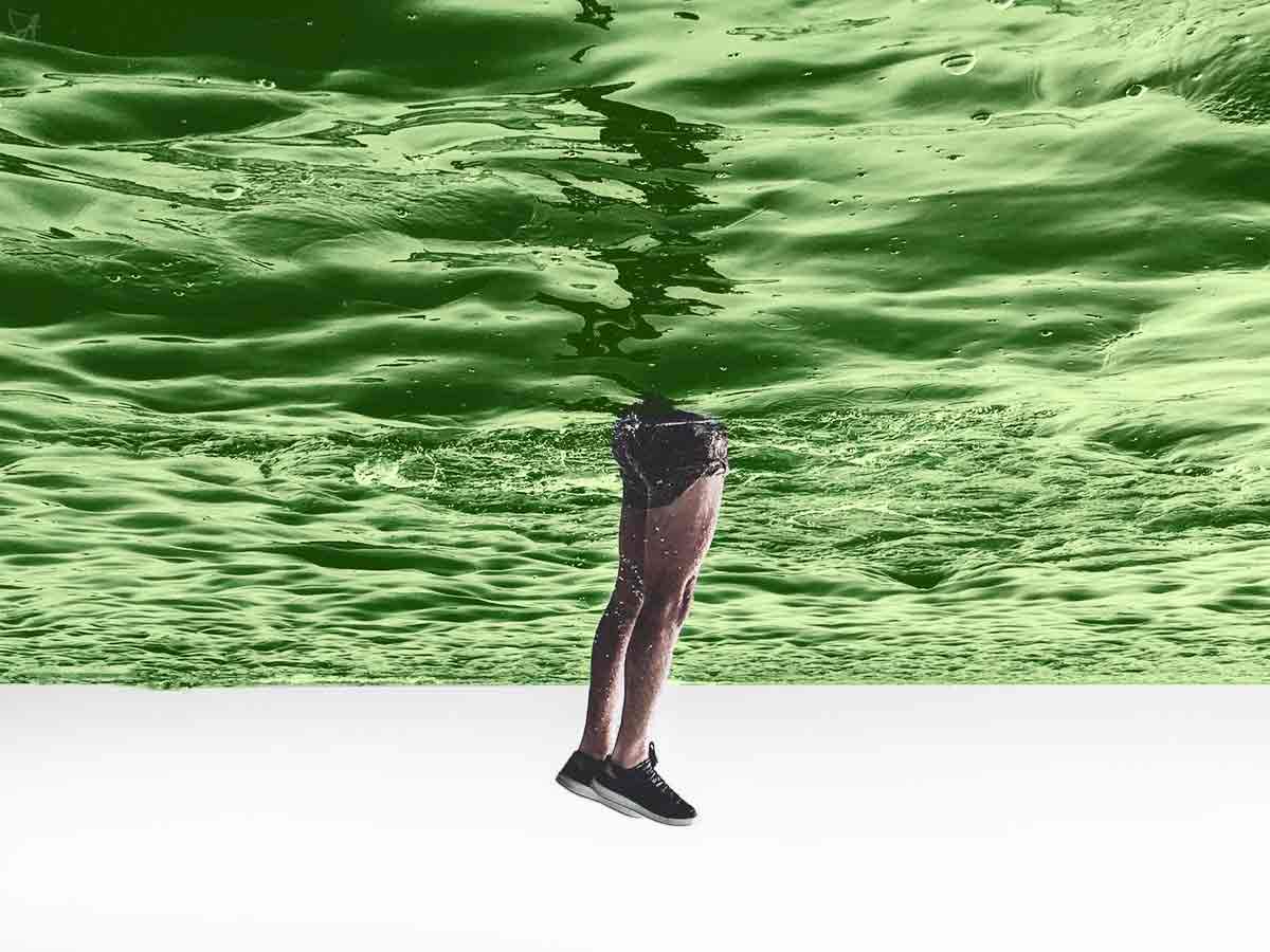 The Endocannabinoid System