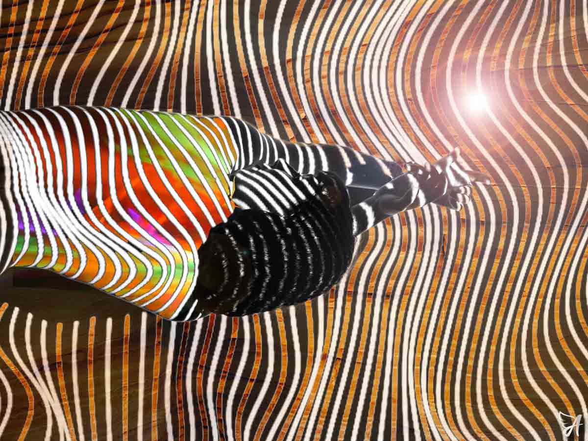 What are collagen and elastin?