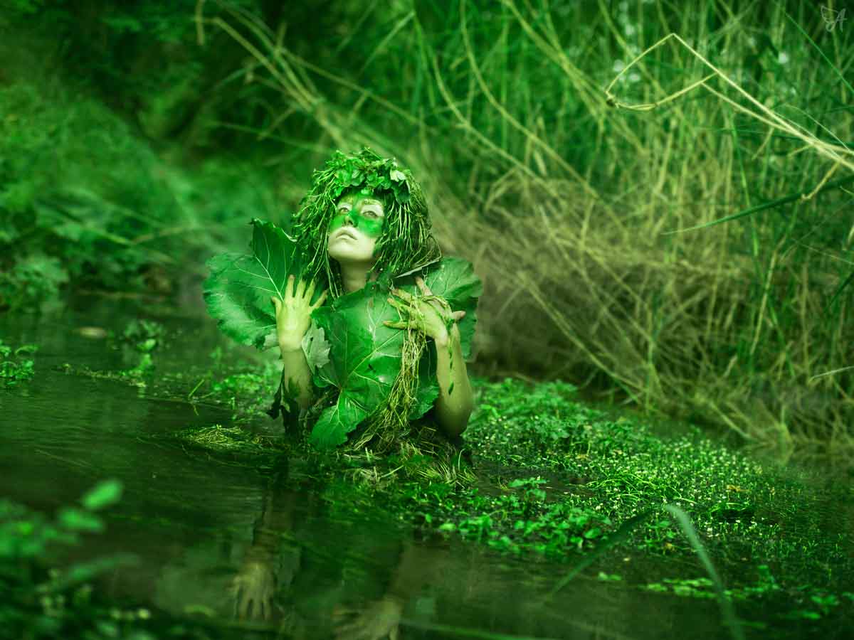 What does CBD oil taste like