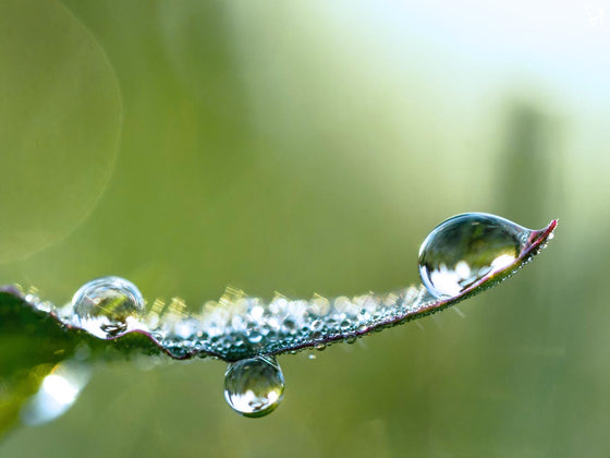 What is water soluble CBD