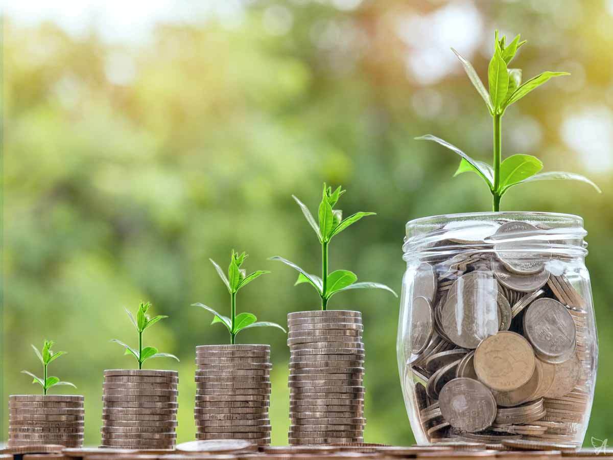 Why is CBD oil so expensive