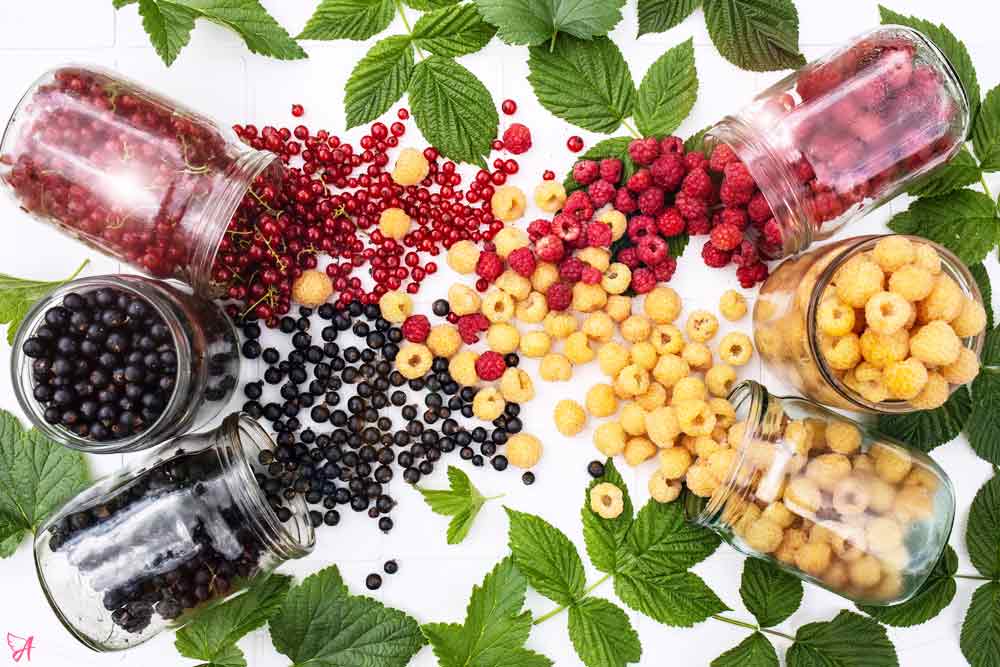 Antioxidants collection