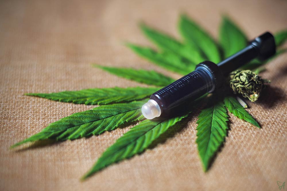 CBD paste collection