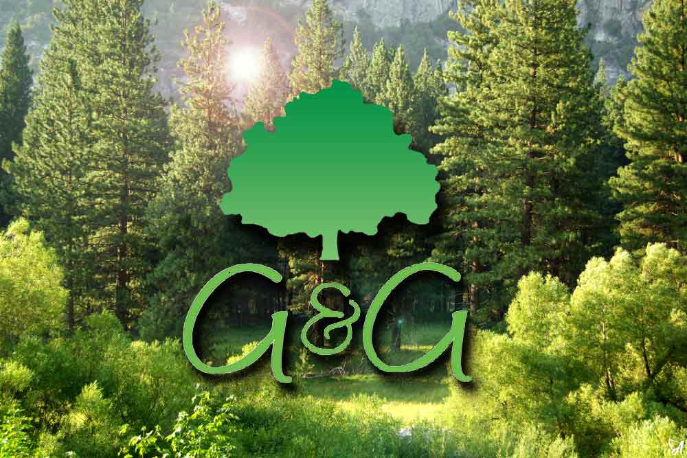 G&G Vitamins collection