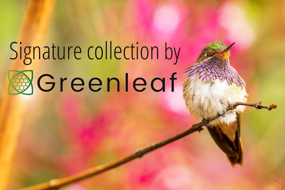 Signature Collection