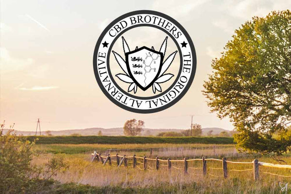 The Original Alternative