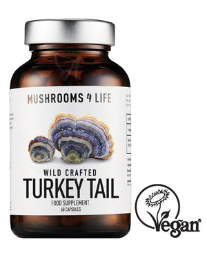 Wild-harvested Turkey Tail mushroom