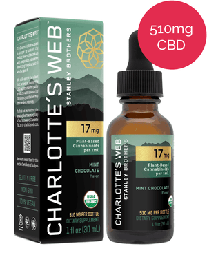 1.7% full-spectrum CBD oil – Charlotte’s Web (mint chocolate)