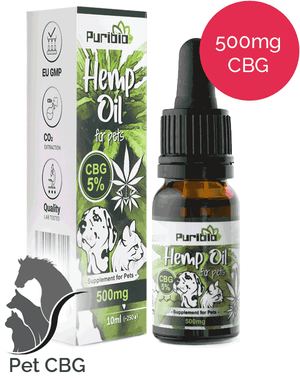 5% CBG oil for pets - PuriBio