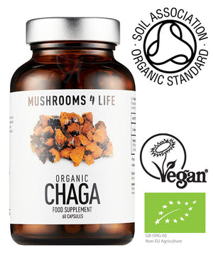 Organic chaga mushroom capsules
