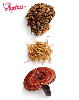 Reishi Cordyceps Maitake Mushrooms